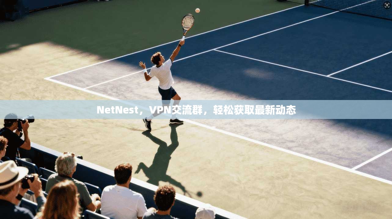NetNest，VPN交流群，轻松获取最新动态