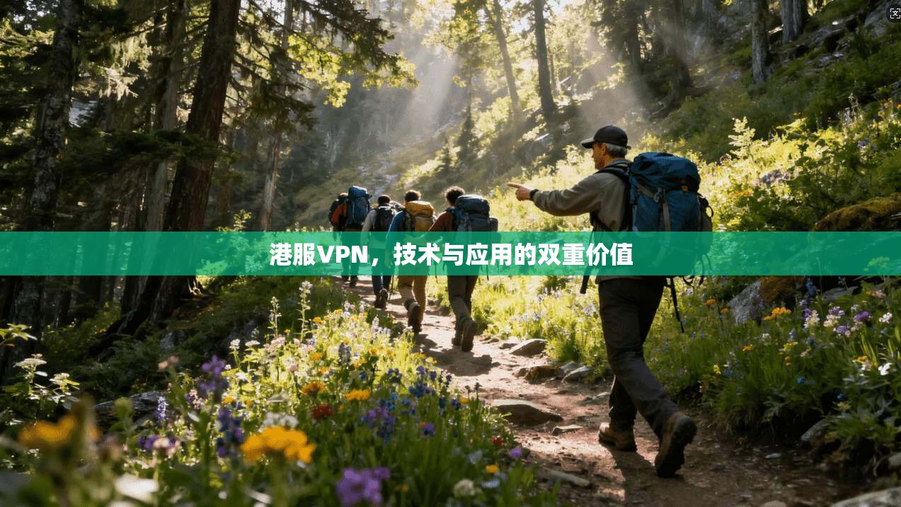 港服VPN，技术与应用的双重价值