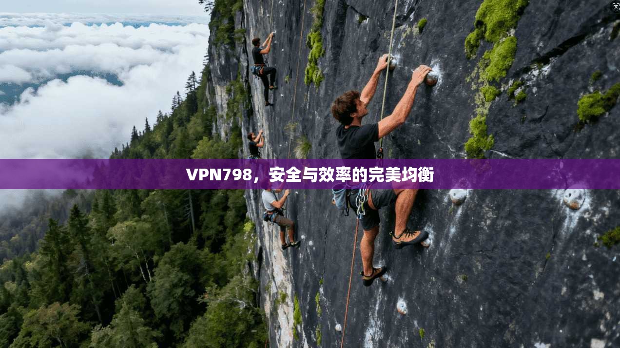 VPN798，安全与效率的完美均衡