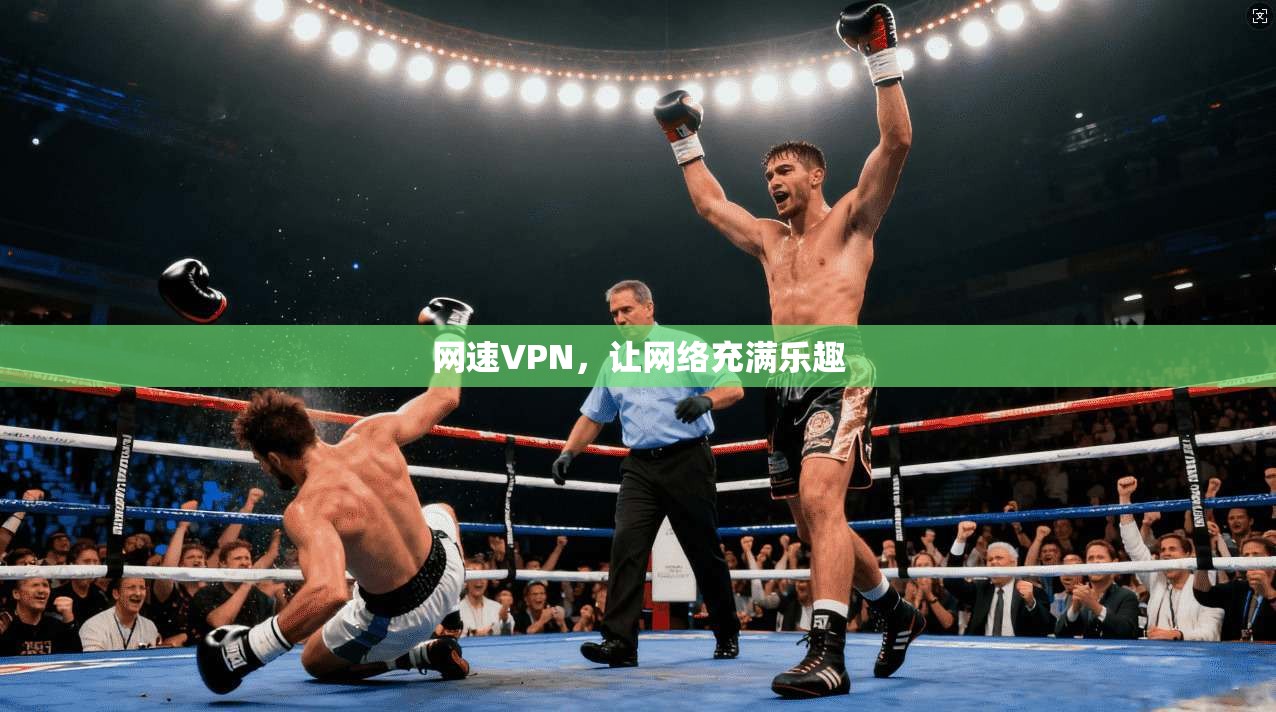 网速VPN，让网络充满乐趣