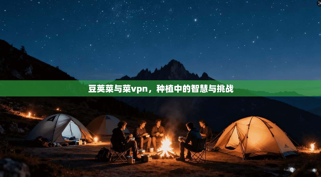 豆荚菜与菜vpn，种植中的智慧与挑战