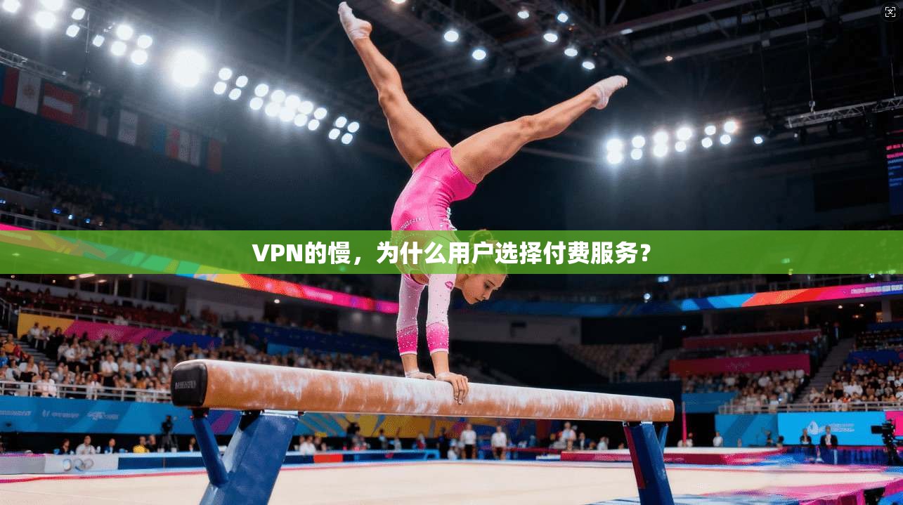 VPN的慢，为什么用户选择付费服务？