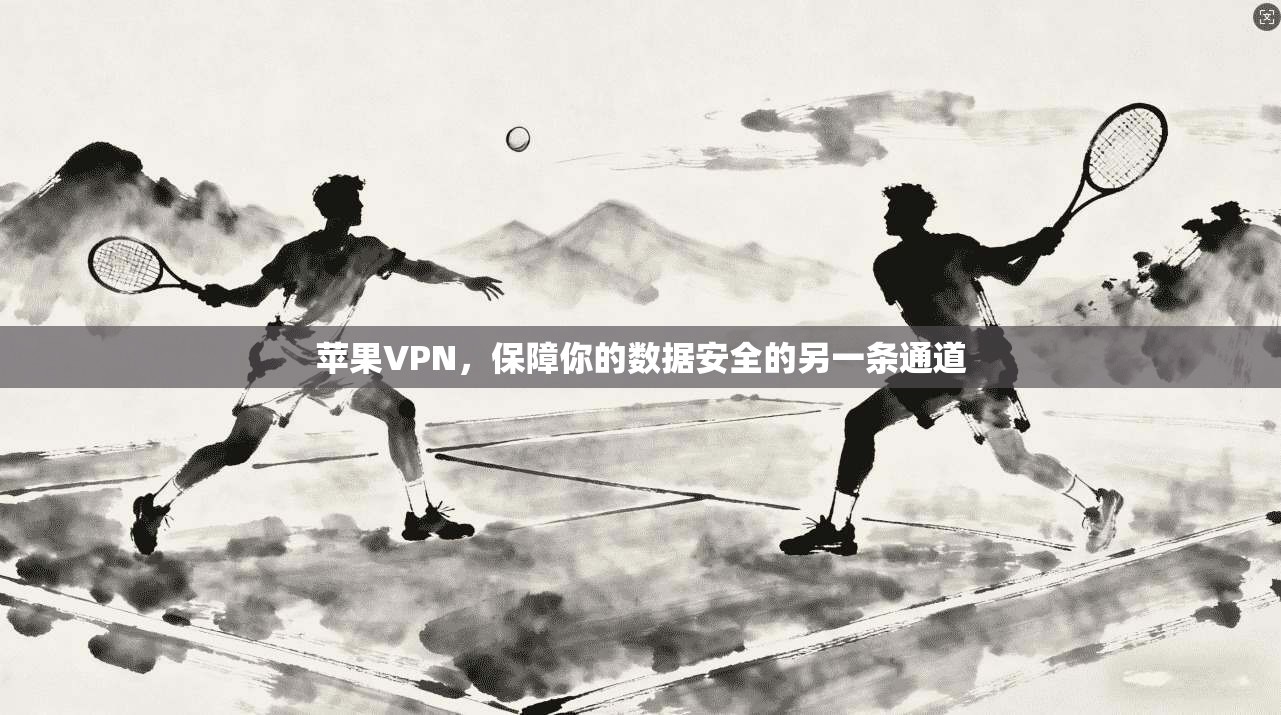 苹果VPN，保障你的数据安全的另一条通道