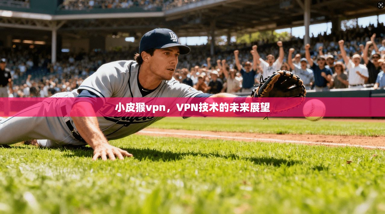 小皮猴vpn，VPN技术的未来展望