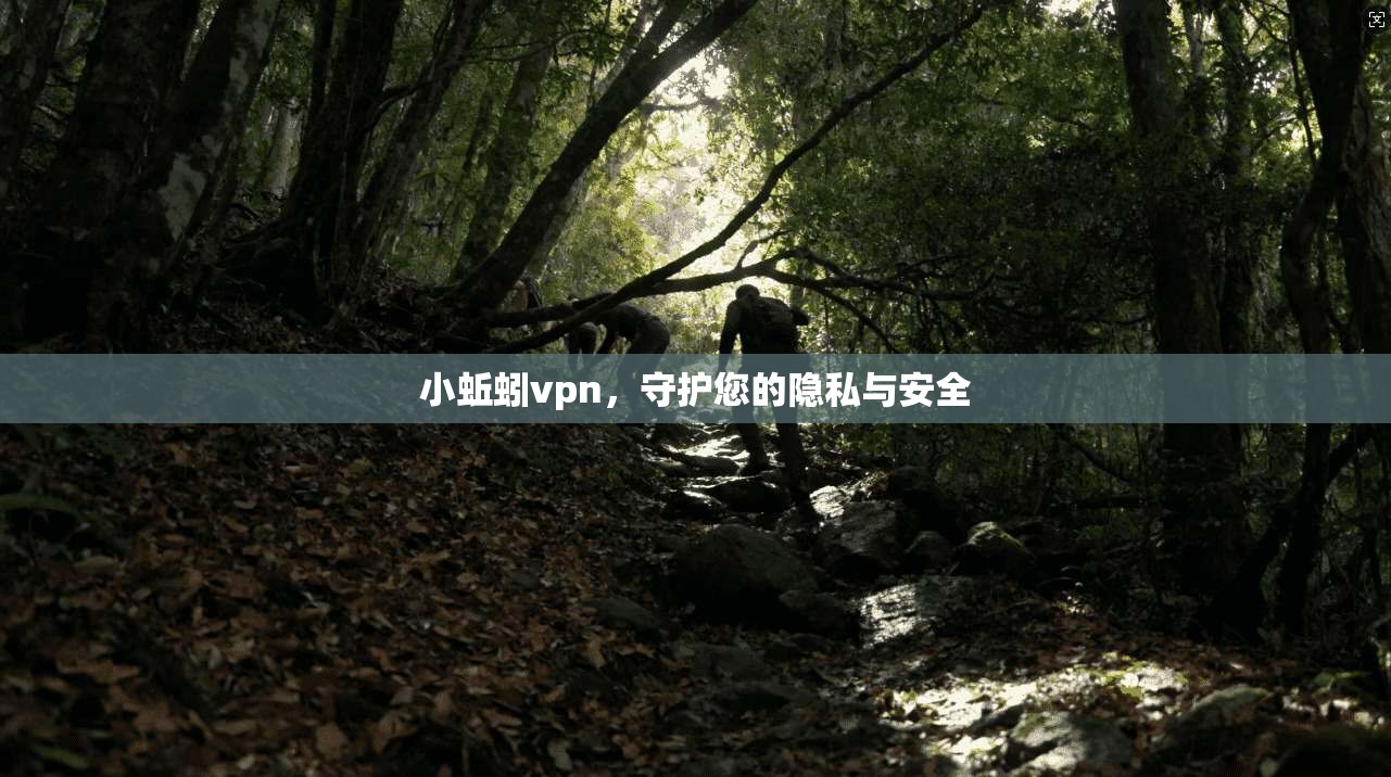 小蚯蚓vpn，守护您的隐私与安全
