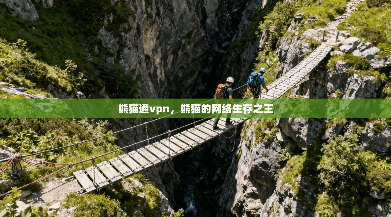 熊猫通vpn，熊猫的网络生存之王