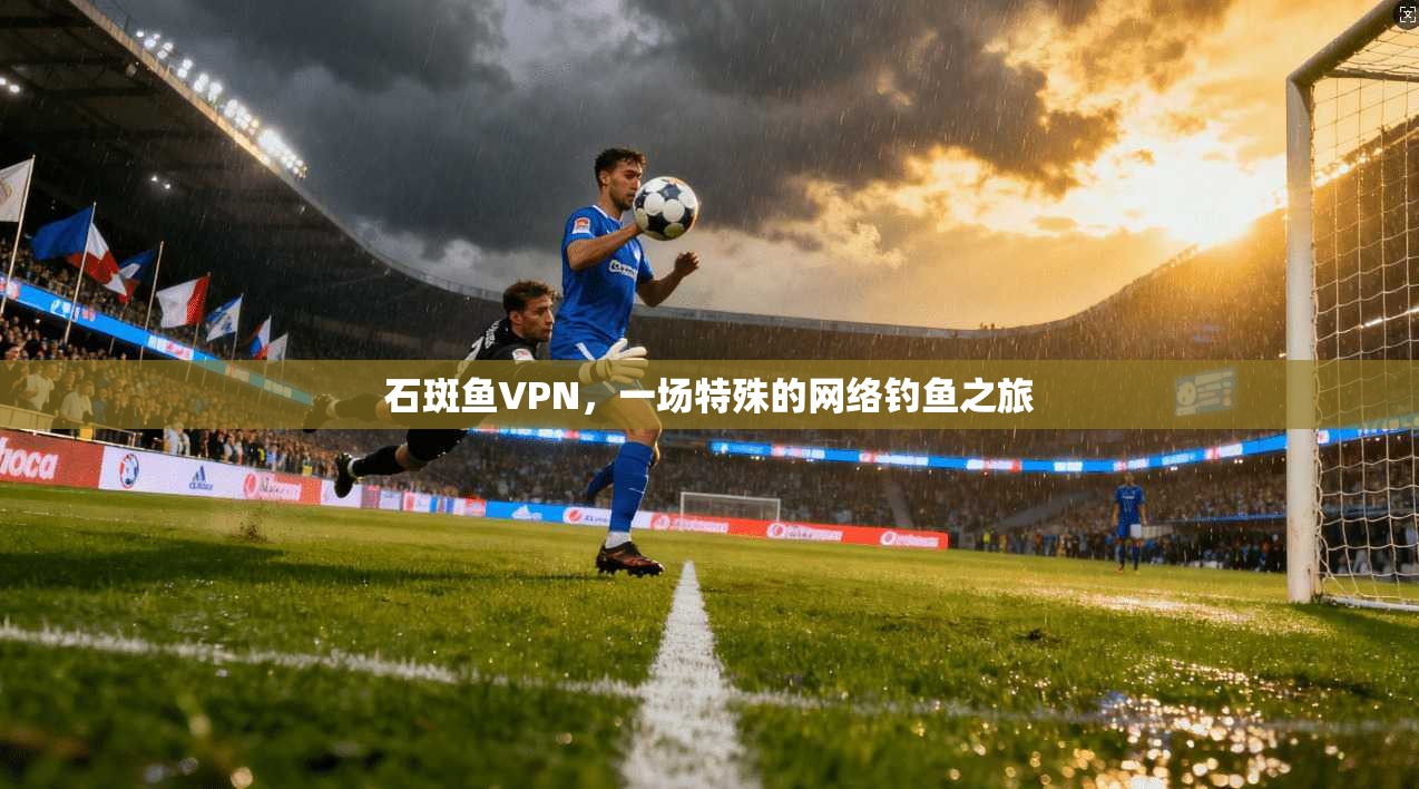 石斑鱼VPN，一场特殊的网络钓鱼之旅