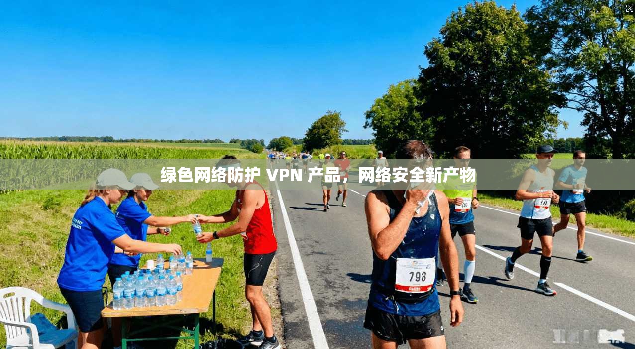 绿色网络防护 VPN 产品，网络安全新产物