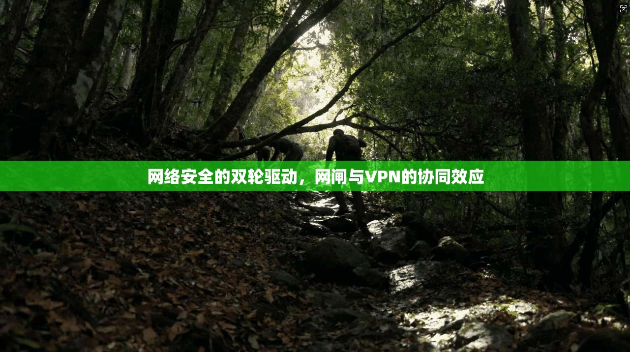 网络安全的双轮驱动，网闸与VPN的协同效应