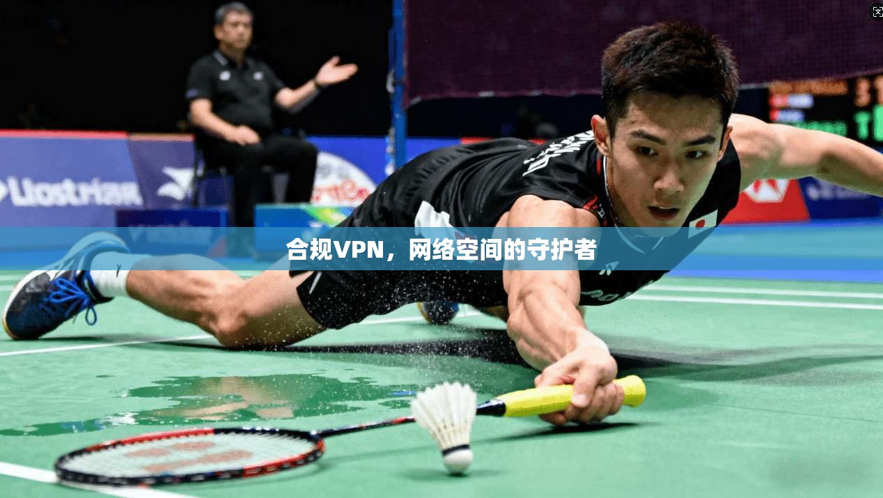 合规VPN,网络空间的守护者