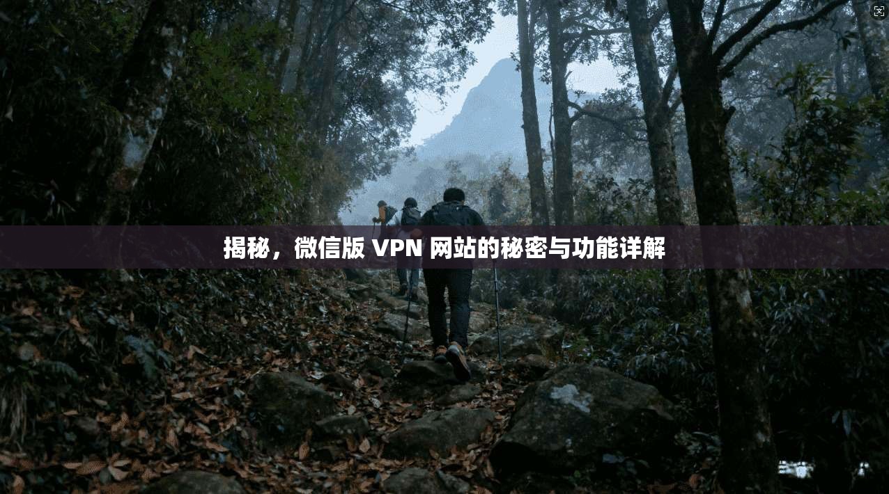 揭秘，微信版 VPN 网站的秘密与功能详解