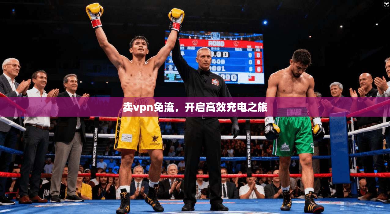 卖vpn免流，开启高效充电之旅