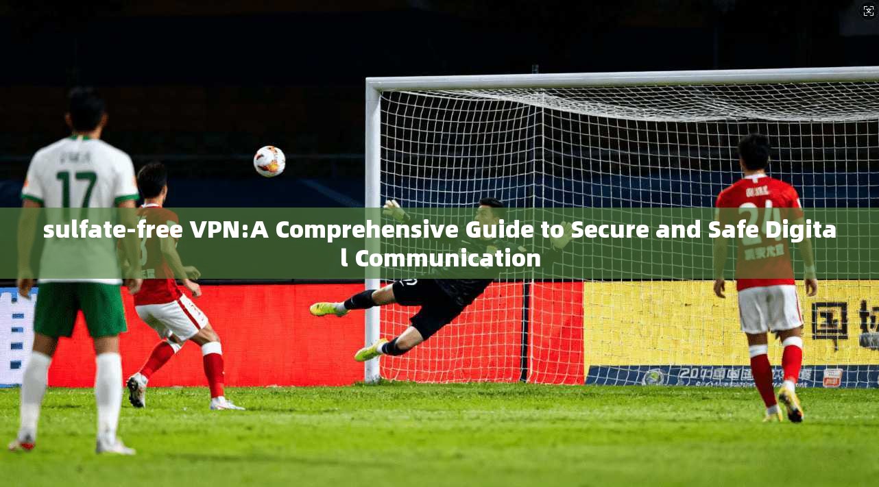 sulfate-free VPN:A Comprehensive Guide to Secure and Safe Digital Communication
