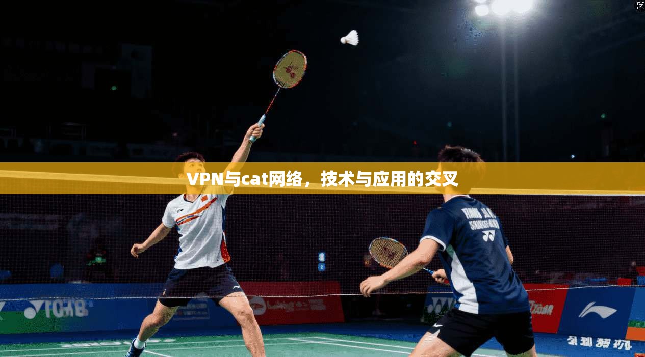 VPN与cat网络，技术与应用的交叉