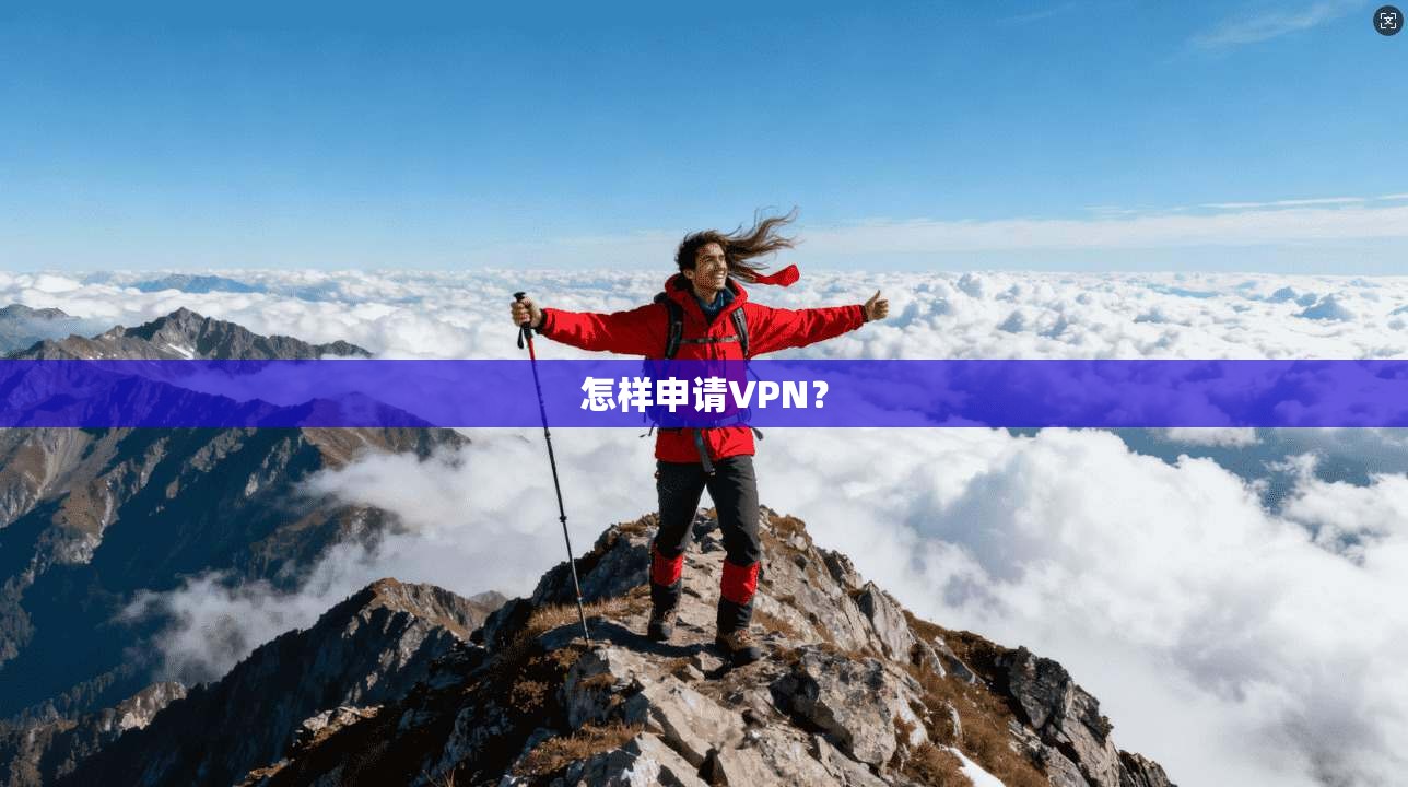怎样申请VPN？