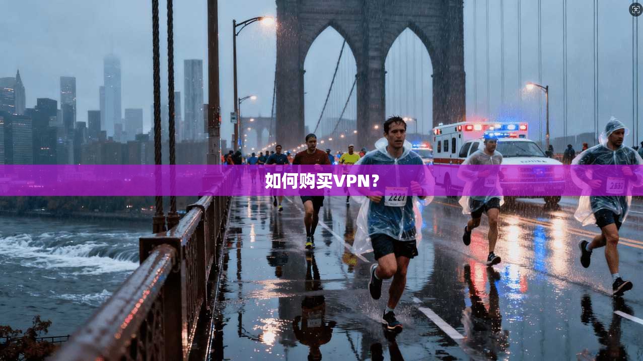 如何购买VPN？