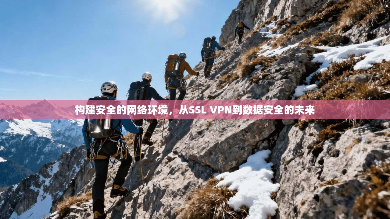 构建安全的网络环境，从SSL VPN到数据安全的未来