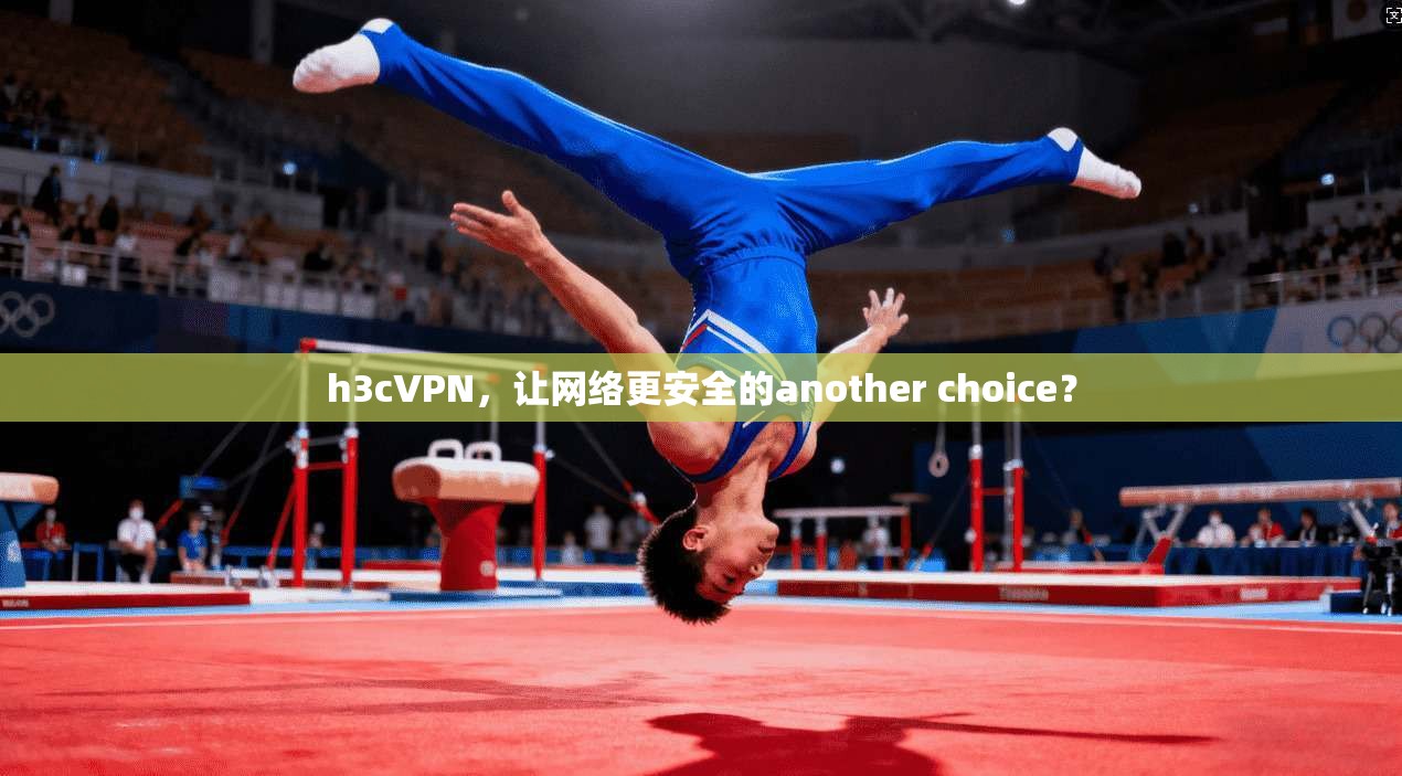 h3cVPN，让网络更安全的another choice？