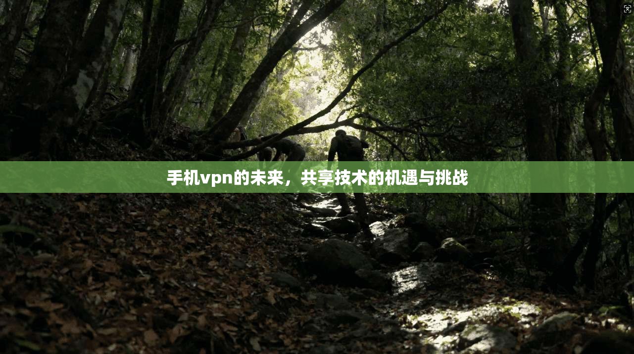 手机vpn的未来，共享技术的机遇与挑战