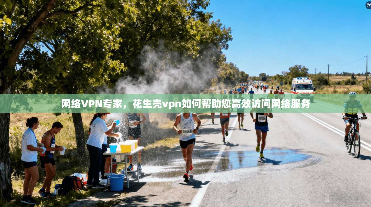网络VPN专家，花生壳vpn如何帮助您高效访问网络服务