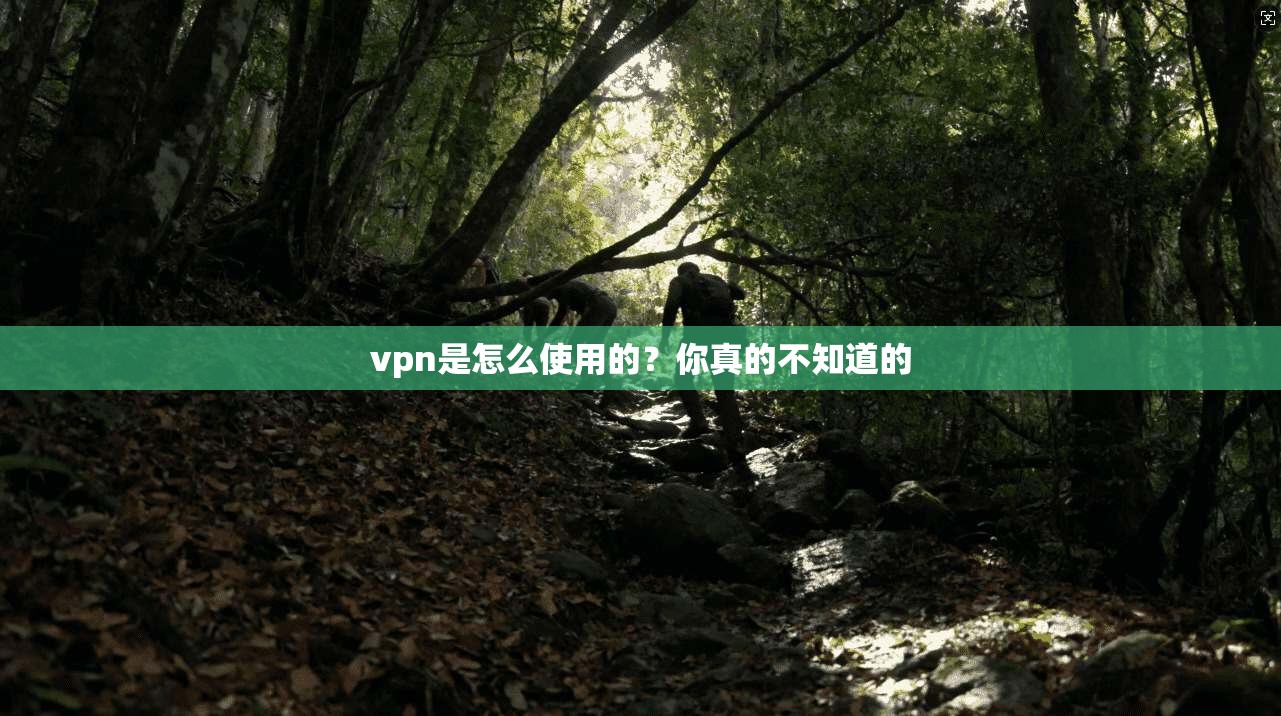 vpn是怎么使用的？你真的不知道的