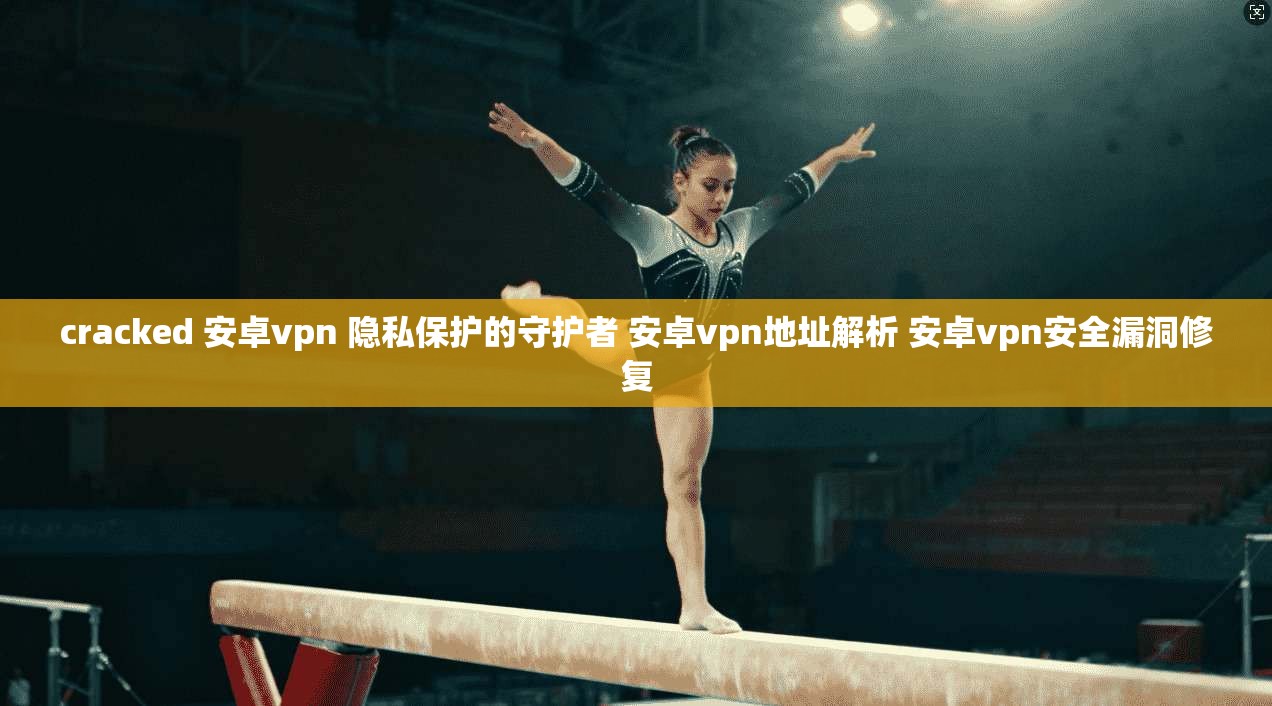 cracked 安卓vpn 隐私保护的守护者 安卓vpn地址解析 安卓vpn安全漏洞修复
