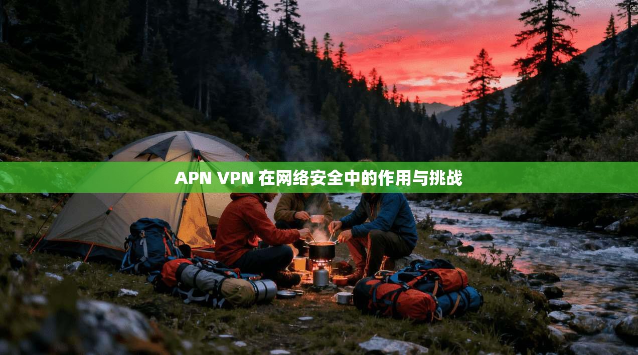 APN VPN 在网络安全中的作用与挑战