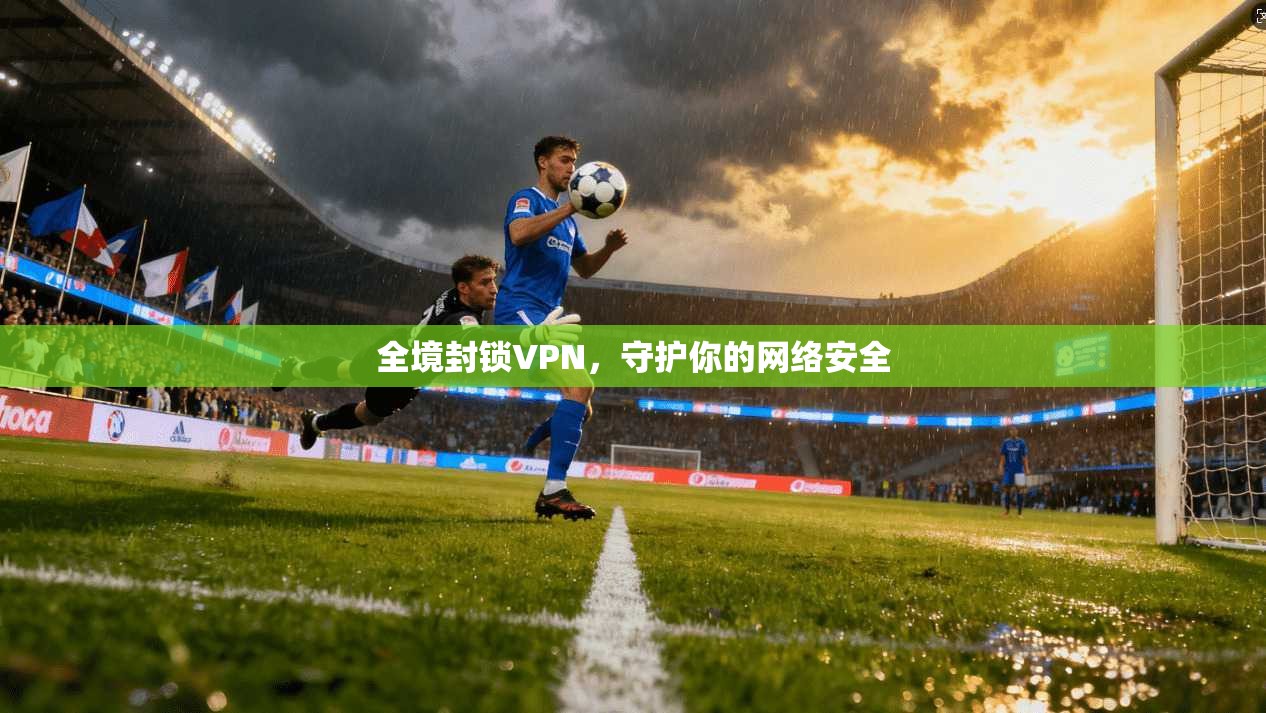 全境封锁VPN,守护你的网络安全