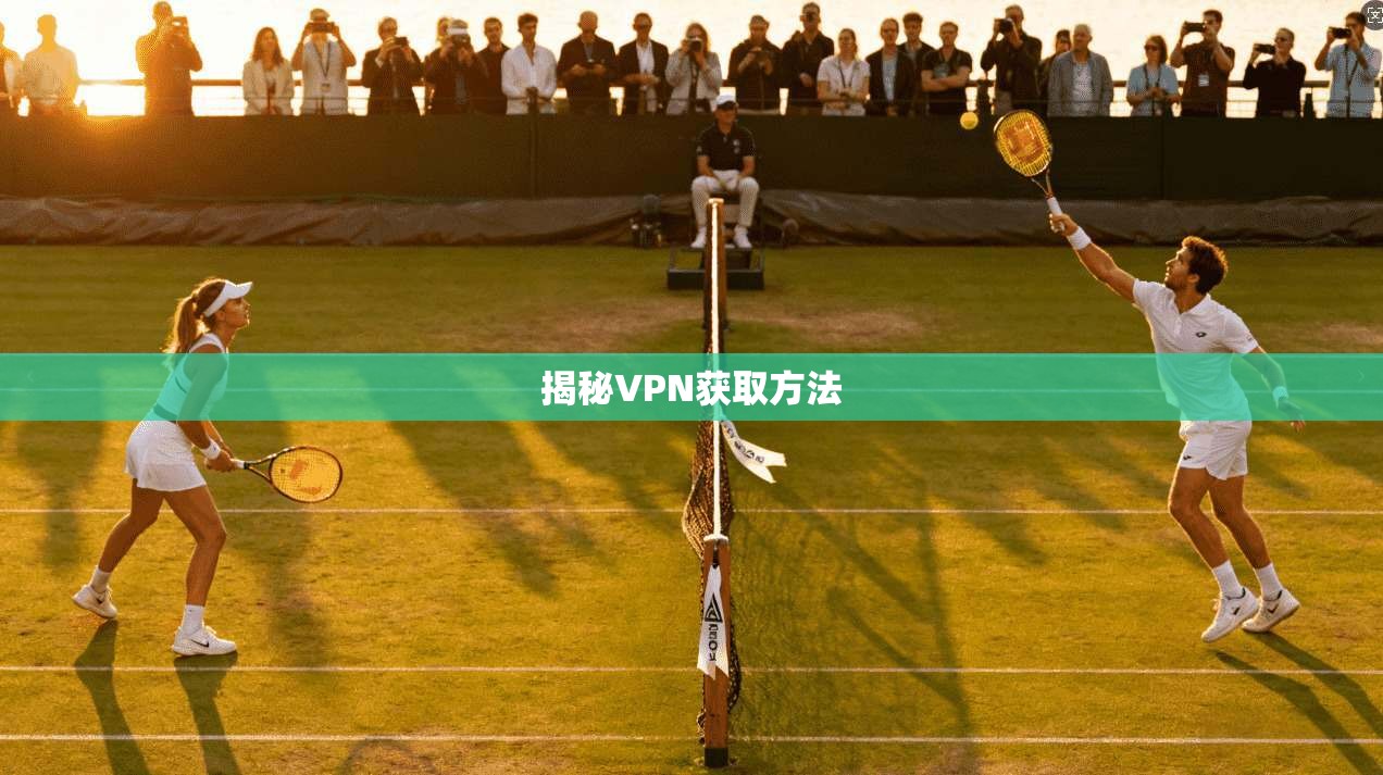 揭秘VPN获取方法