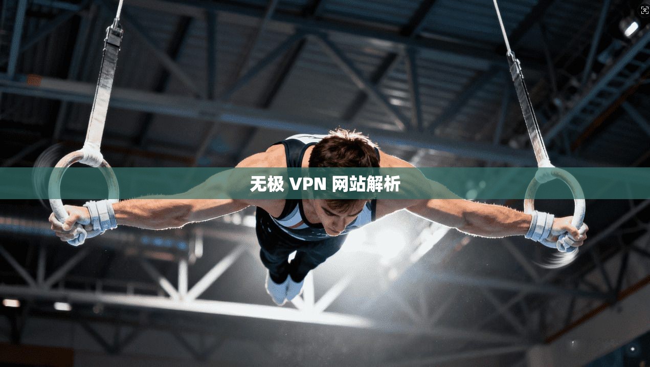 无极 VPN 网站解析