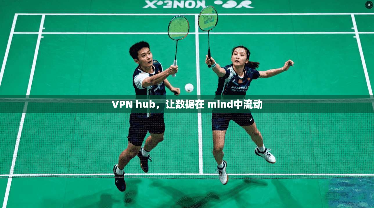 VPN hub，让数据在 mind中流动