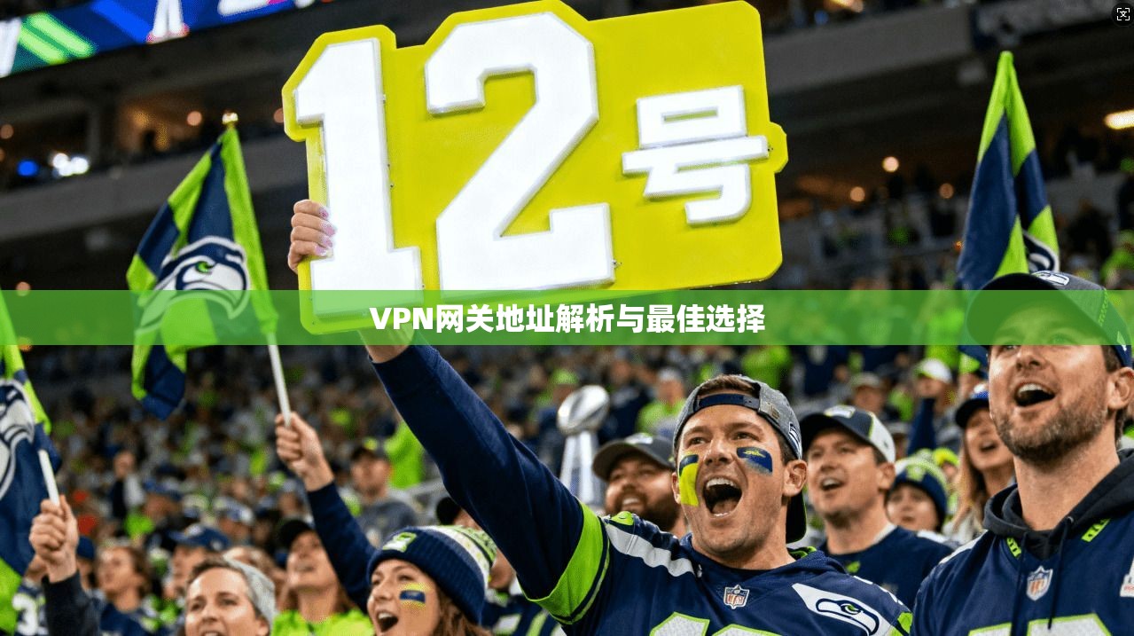 VPN网关地址解析与最佳选择