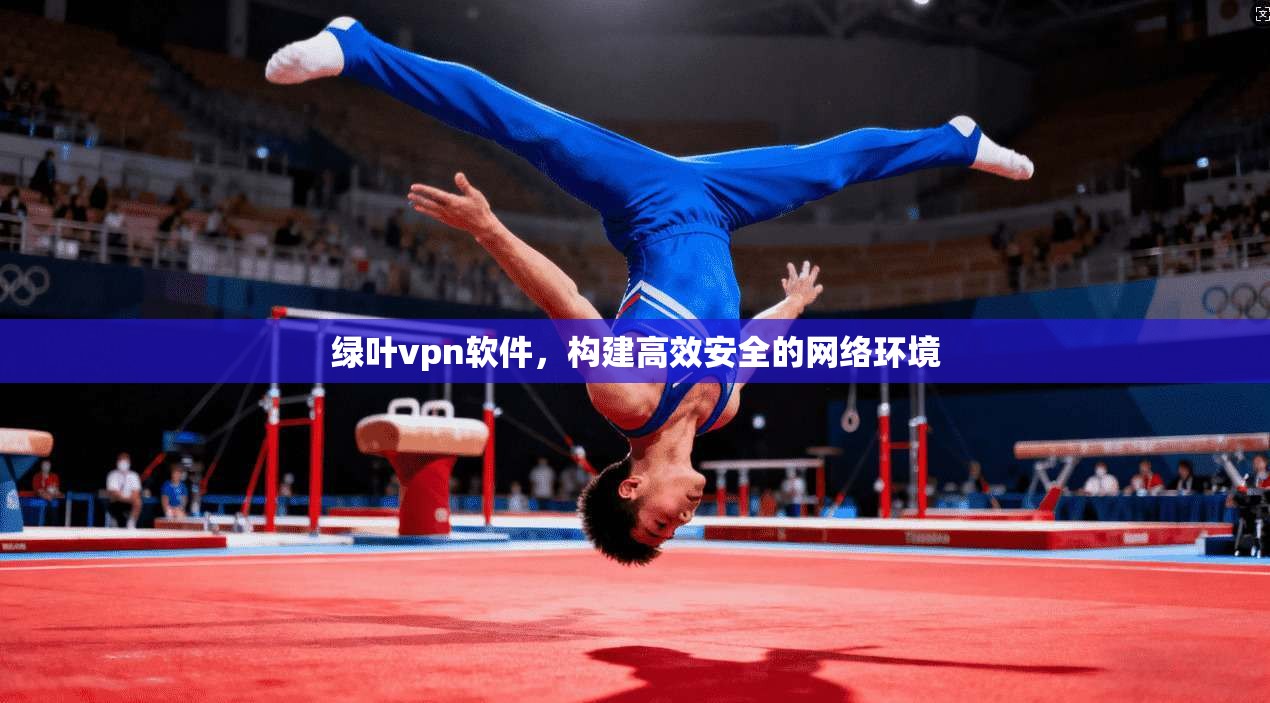 绿叶vpn软件，构建高效安全的网络环境