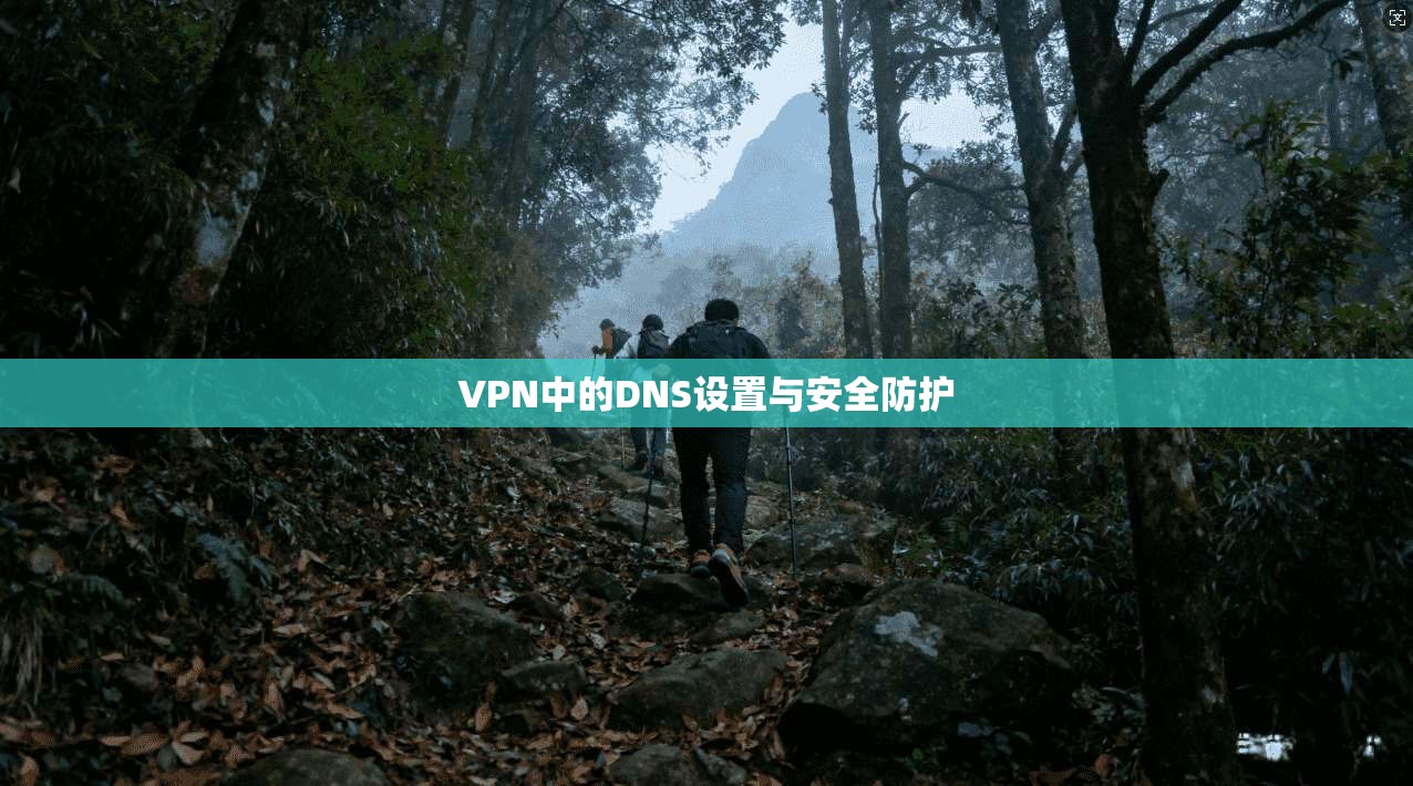 VPN中的DNS设置与安全防护