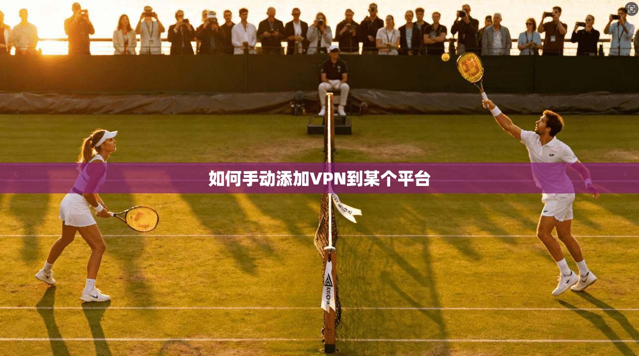 如何手动添加VPN到某个平台