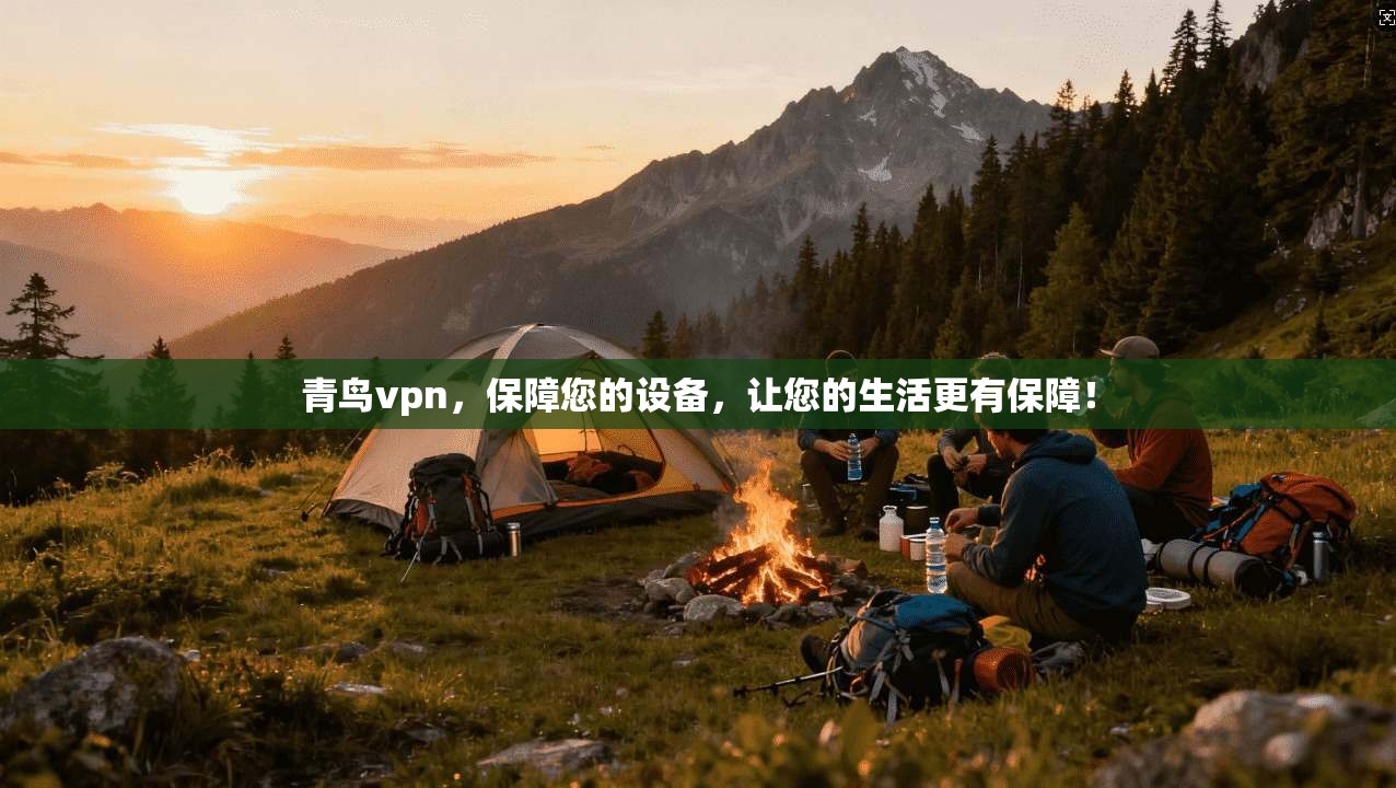 青鸟vpn，保障您的设备，让您的生活更有保障！