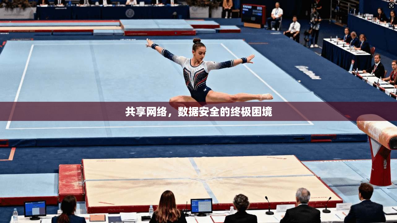 共享网络，数据安全的终极困境