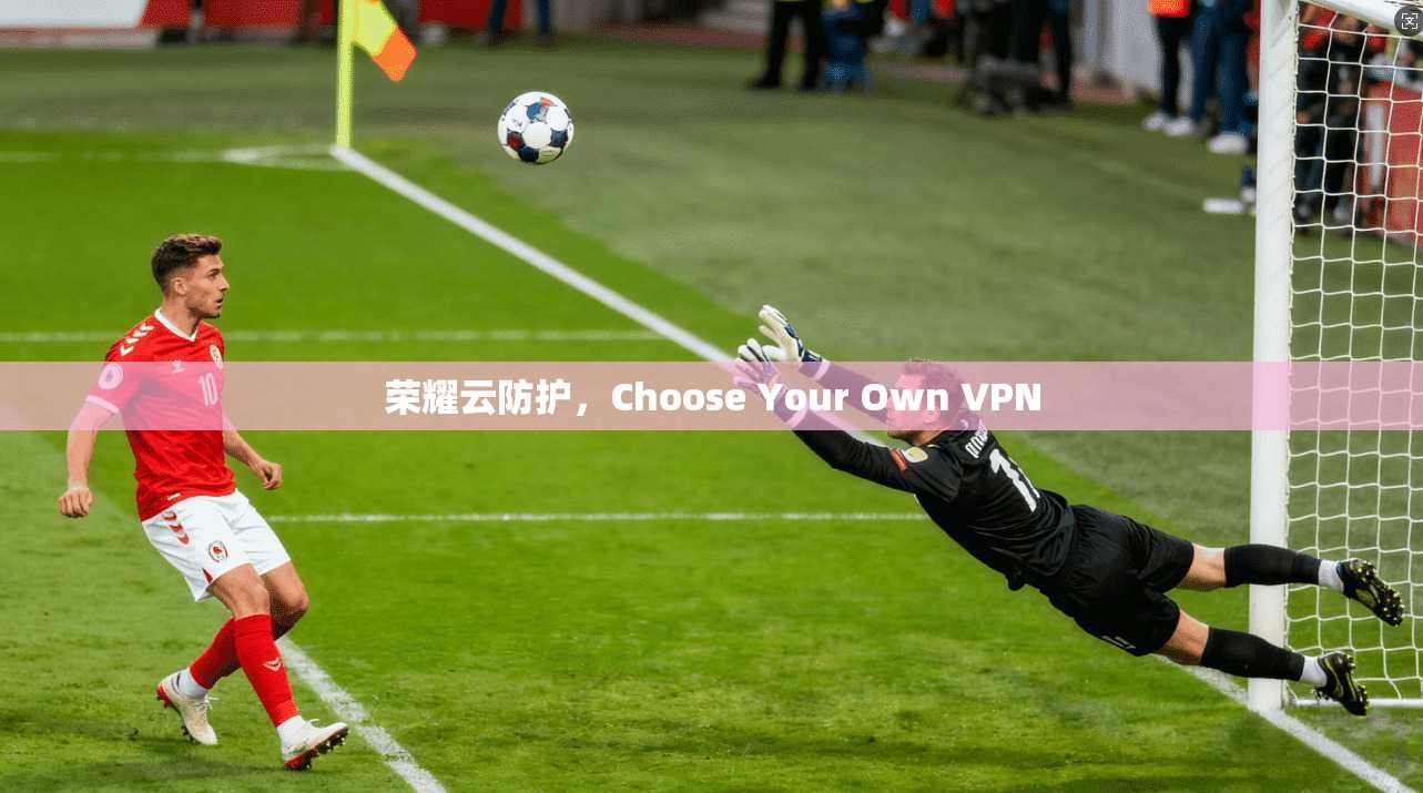荣耀云防护，Choose Your Own VPN
