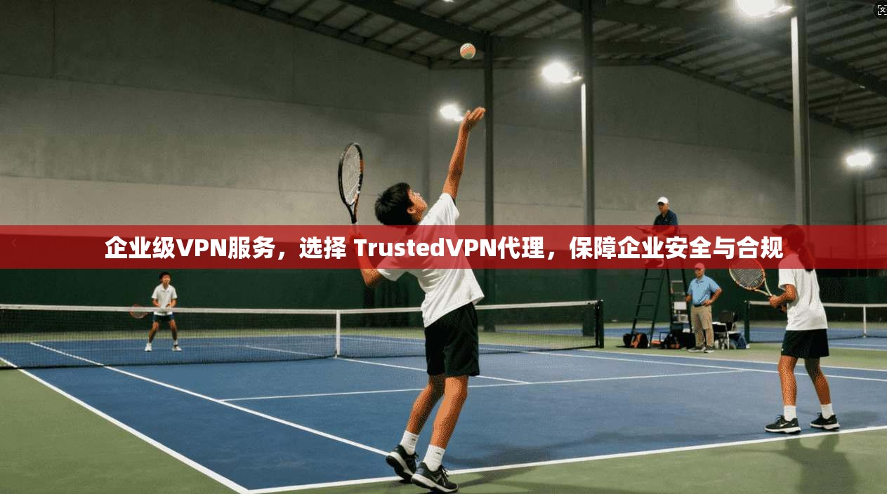 企业级VPN服务，选择 TrustedVPN代理，保障企业安全与合规