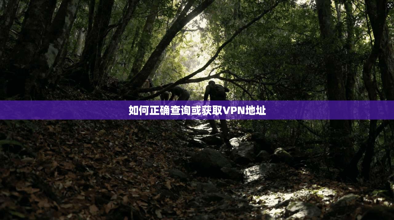 如何正确查询或获取VPN地址
