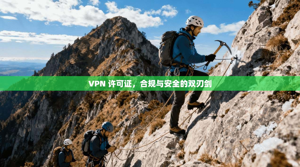 VPN 许可证，合规与安全的双刃剑