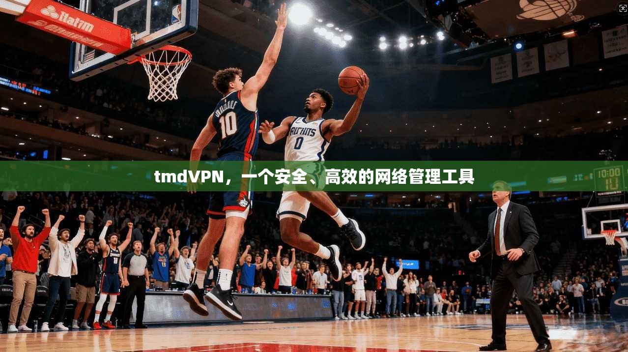 tmdVPN，一个安全、高效的网络管理工具