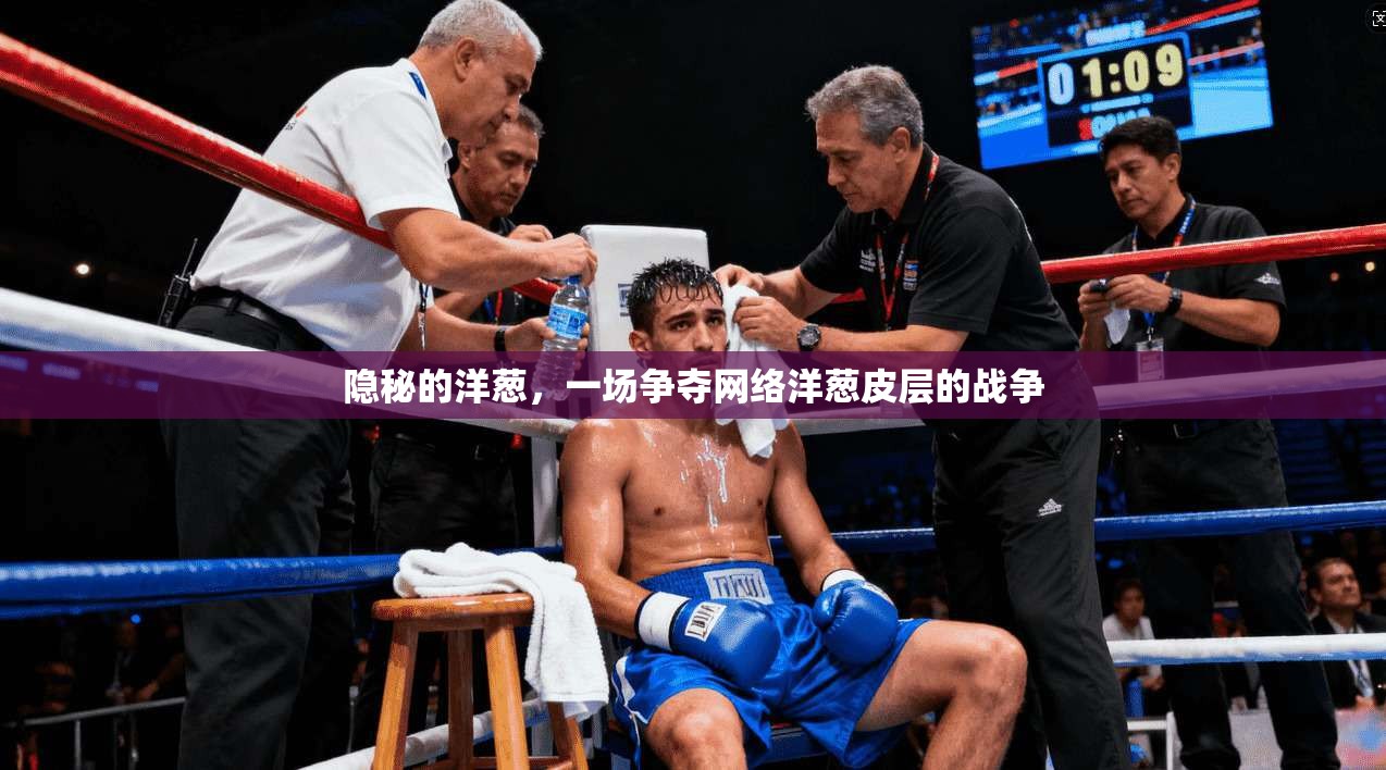 隐秘的洋葱，一场争夺网络洋葱皮层的战争