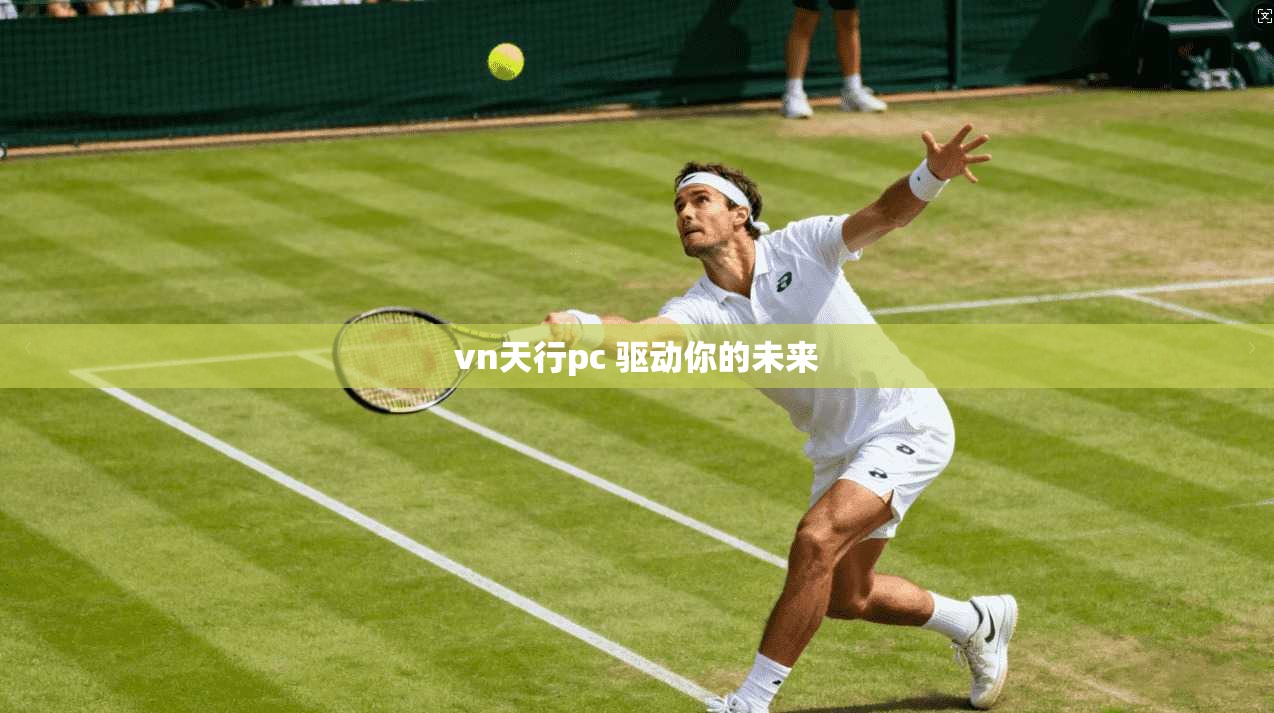 vn天行pc 驱动你的未来