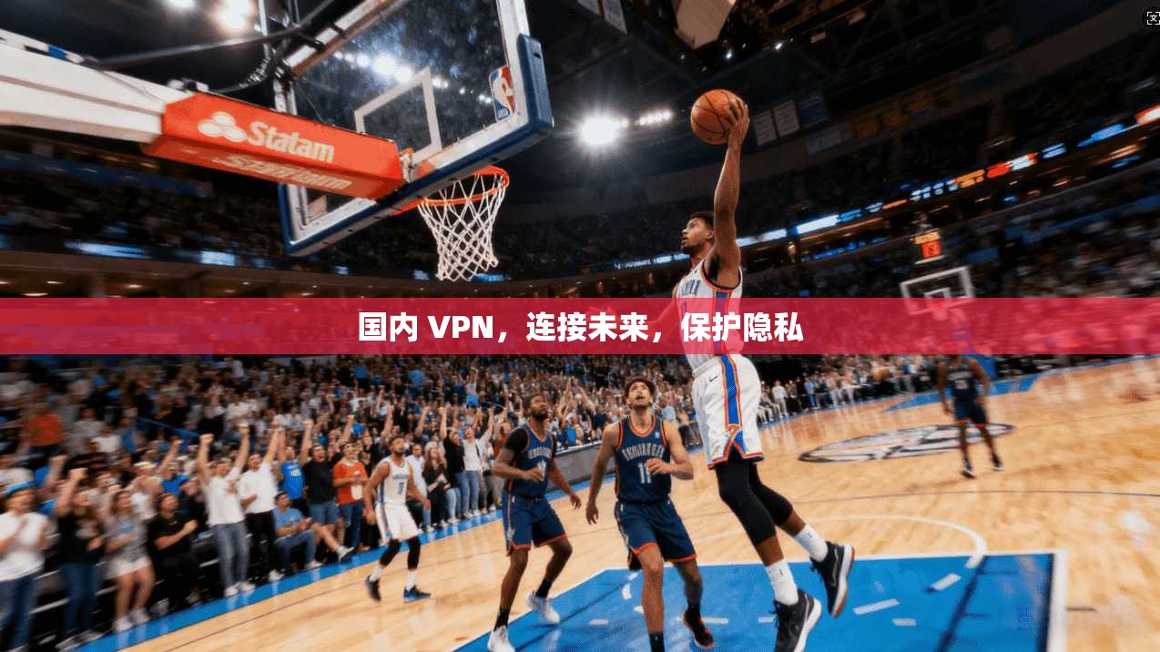 国内 VPN，连接未来，保护隐私