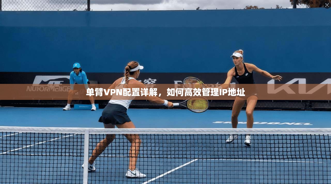 单臂VPN配置详解，如何高效管理IP地址