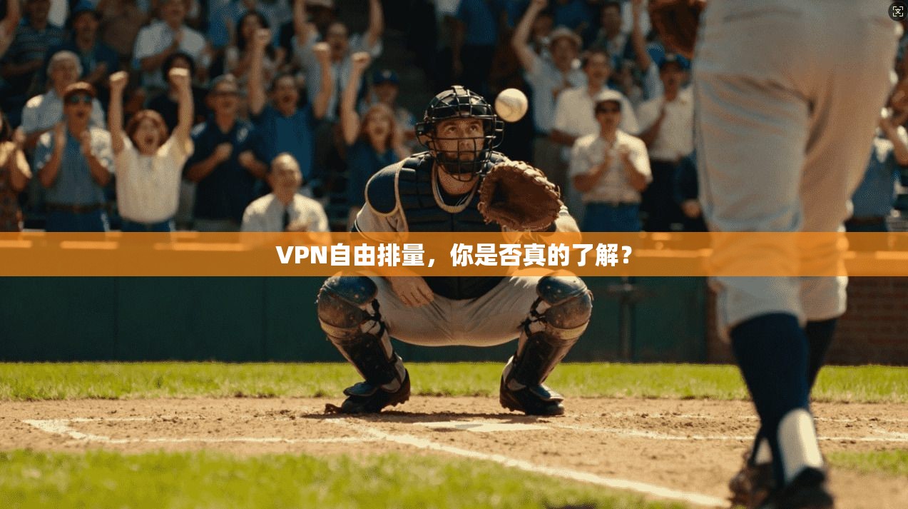 VPN自由排量，你是否真的了解？