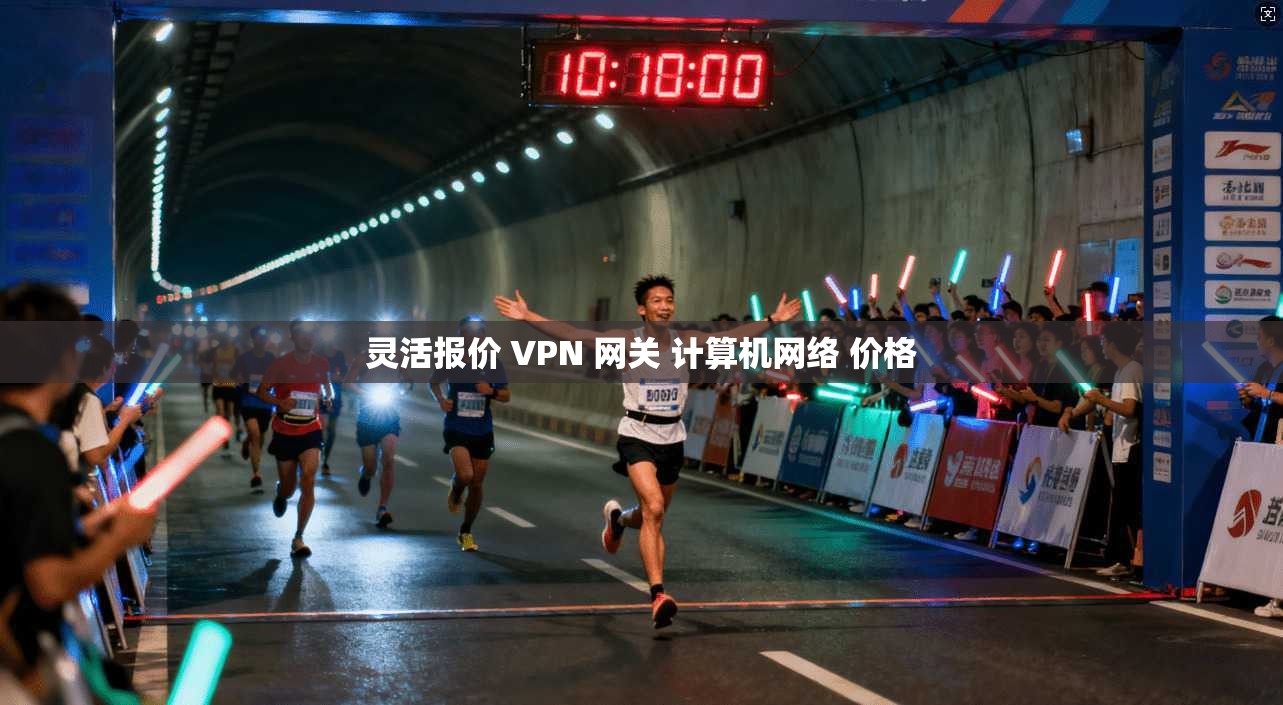 灵活报价 VPN 网关 计算机网络 价格