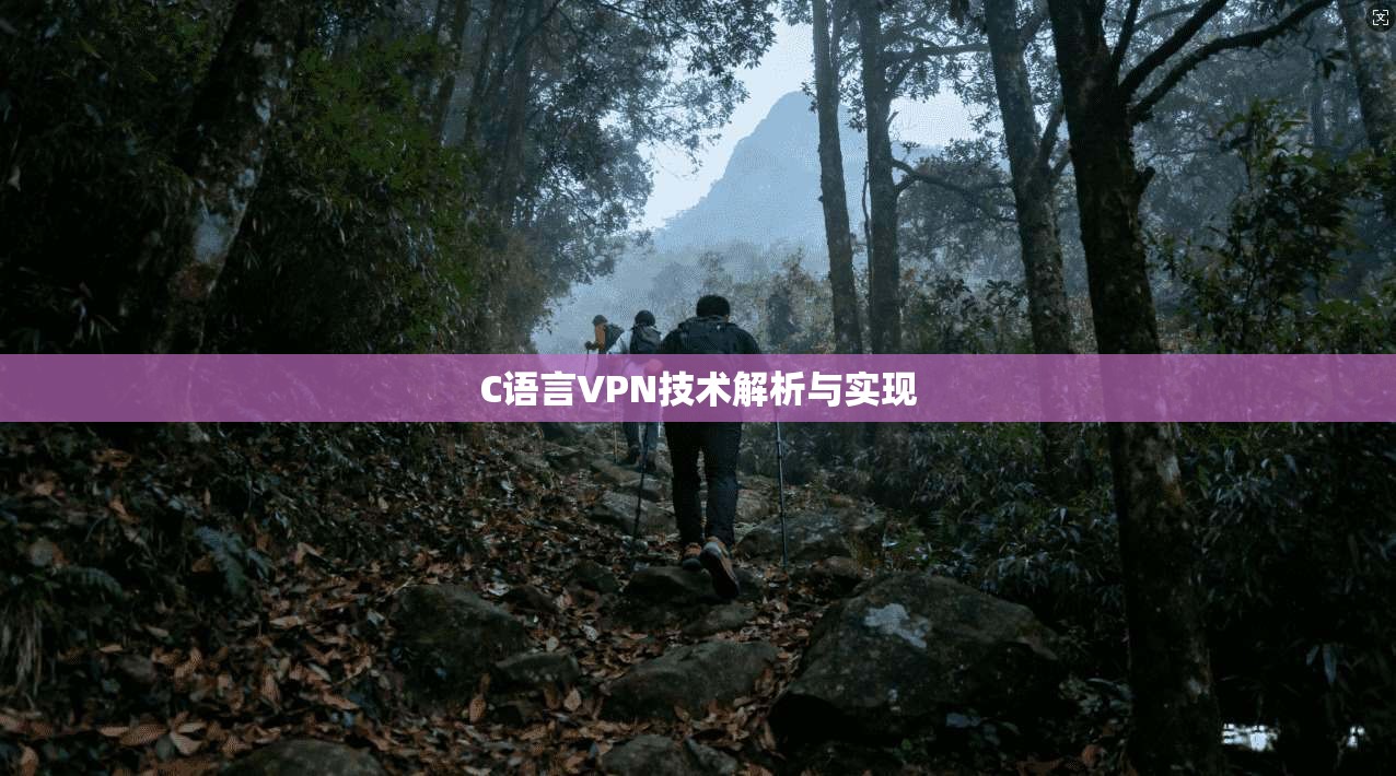 C语言VPN技术解析与实现