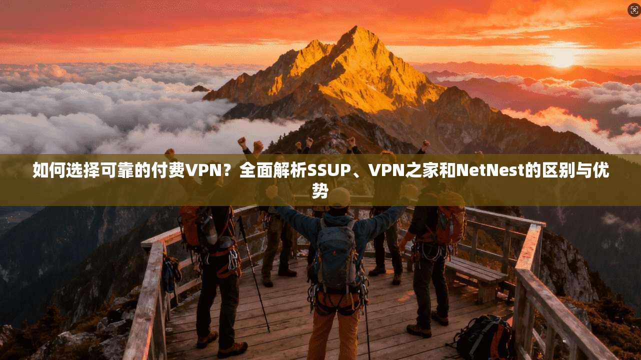 如何选择可靠的付费VPN？全面解析SSUP、VPN之家和NetNest的区别与优势